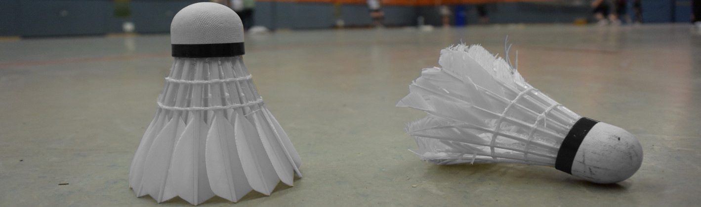 badminton_1.jpg