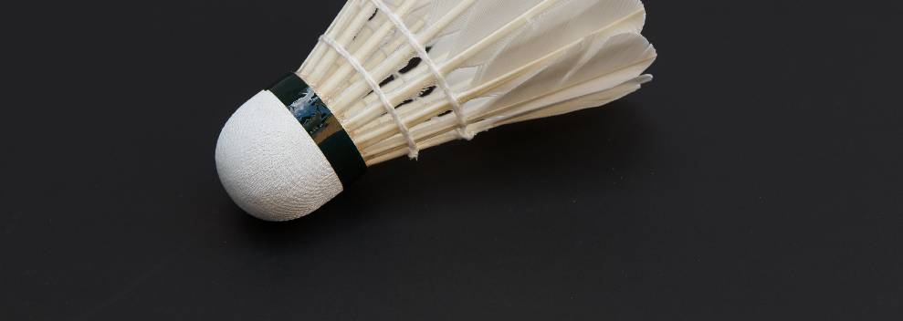badminton_4.jpg