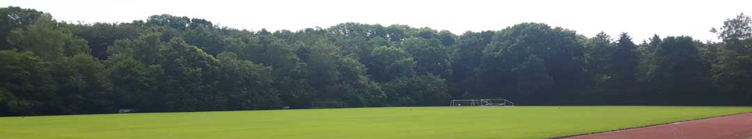 SG-Rasenplatz-1.jpg